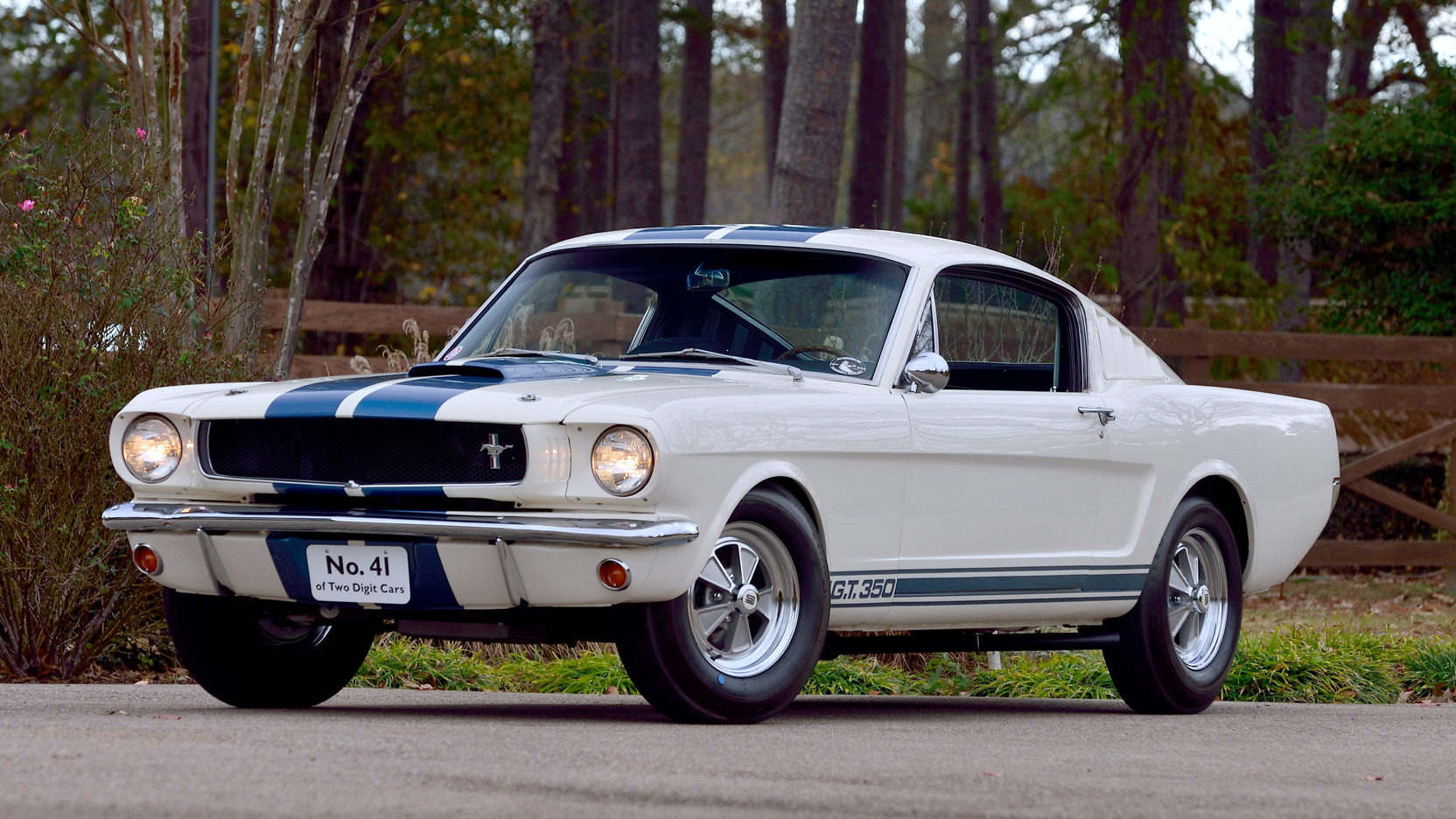1965-ford-shelby